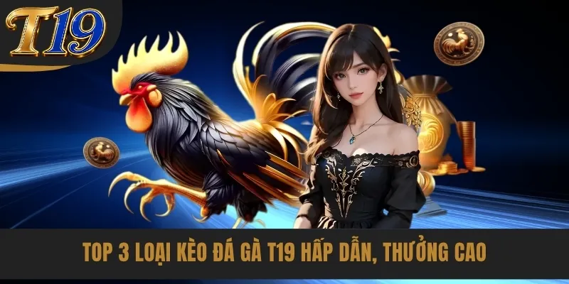 Top 3 loại kèo đá gà T19 hấp dẫn, thưởng cao